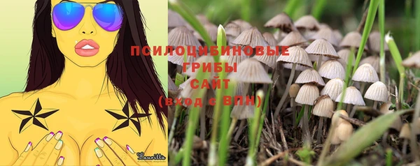 герыч Абинск