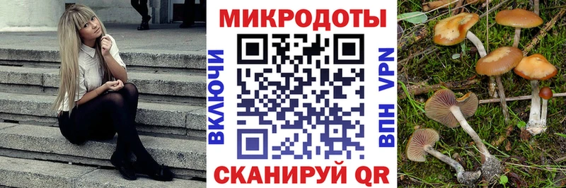 магазин продажи наркотиков  Хасавюрт  Псилоцибиновые грибы GOLDEN TEACHER 